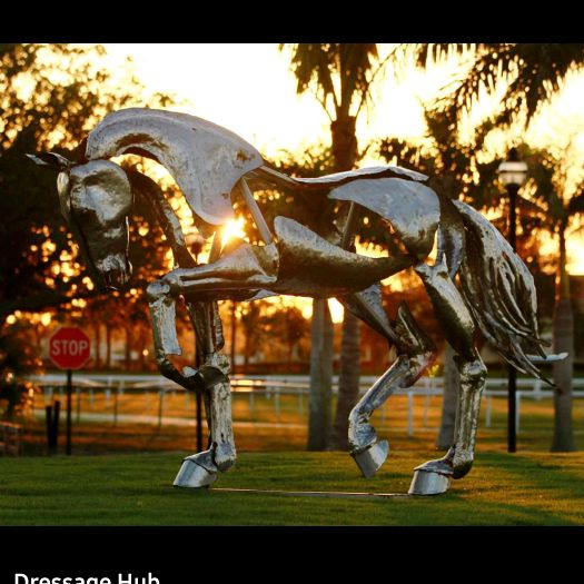 Hire ..........b_official influencer with 43.6k