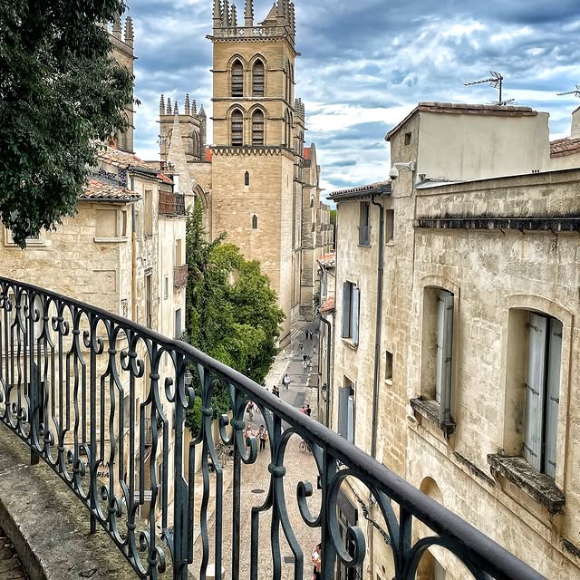  ......_viola   'recent posts' 