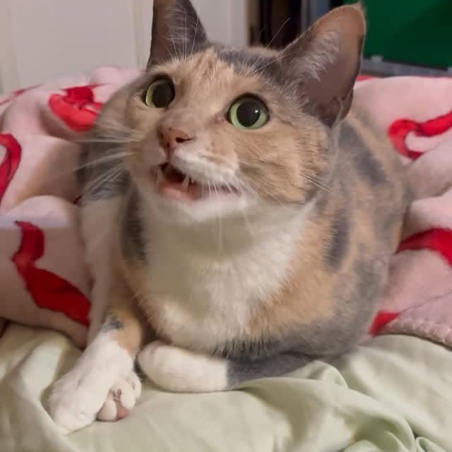  ......kekkek   'recent posts' 