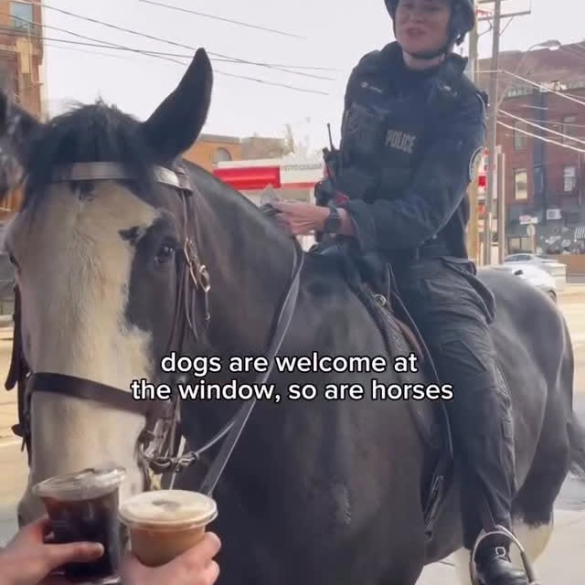  ........ftoronto   'recent posts' 