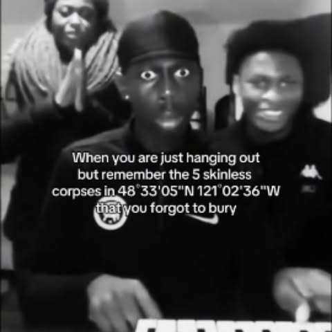  .......msvideos   'recent posts' 