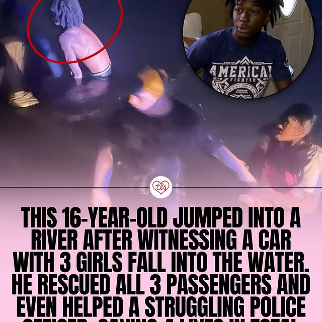  .......rsayings   'recent posts' 