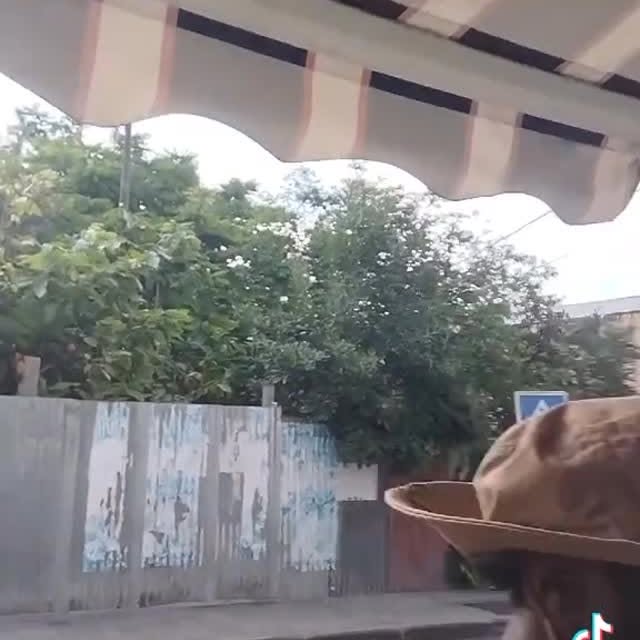  .......boulogne   'recent posts' 