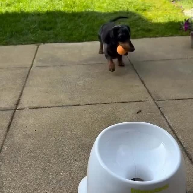  ..........fan.club_   'recent posts' 