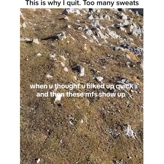  ....ed.d   'recent posts' 