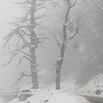  .....sumon_   'recent posts' 