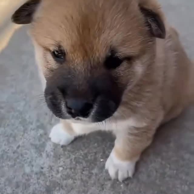  ......s.club   'recent posts' 