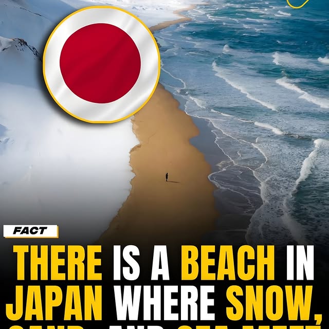  .......onfacts   'recent posts' 