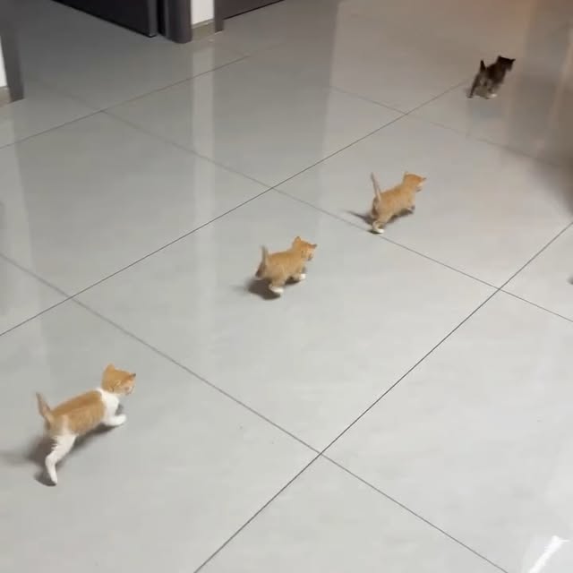  ...urre   'recent posts' 