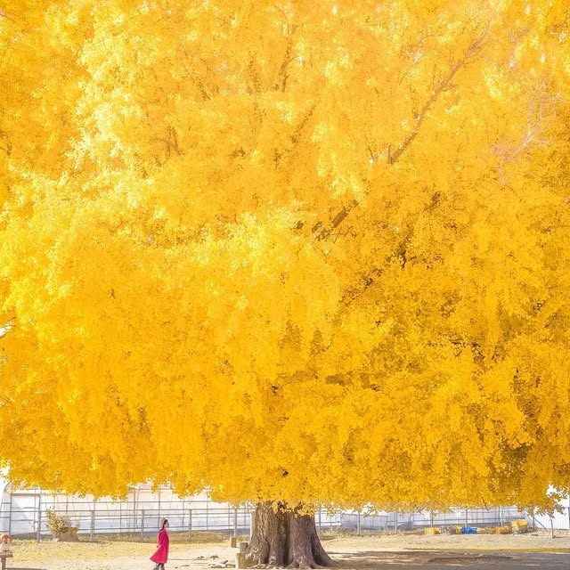  ........ionfervor   'recent posts' 