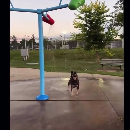  ......psworld   'recent posts' 