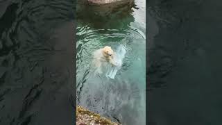  .....rthTv  'recent videos' 