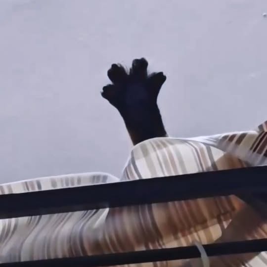  .......ats_club   'recent posts' 