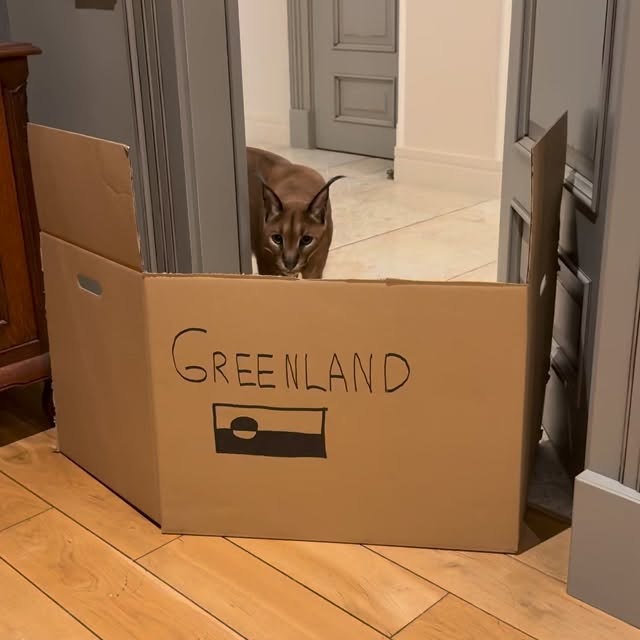  ......aracal   'recent posts' 