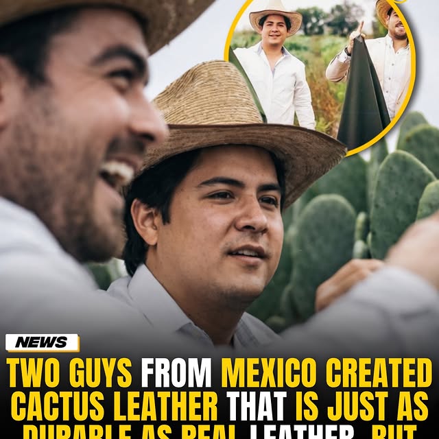  .......onfacts   'recent posts' 