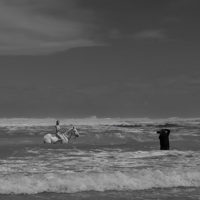  .......vemorton   'recent posts' 