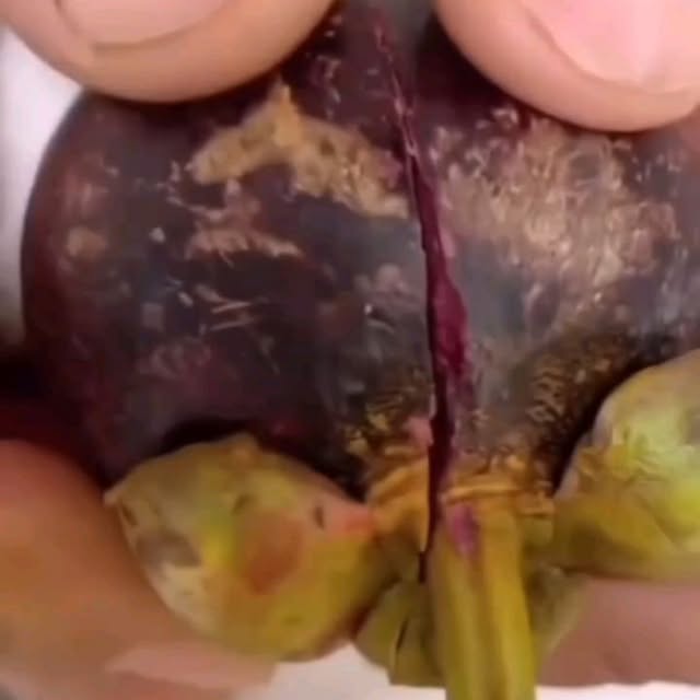  .......uteness1   'recent posts' 