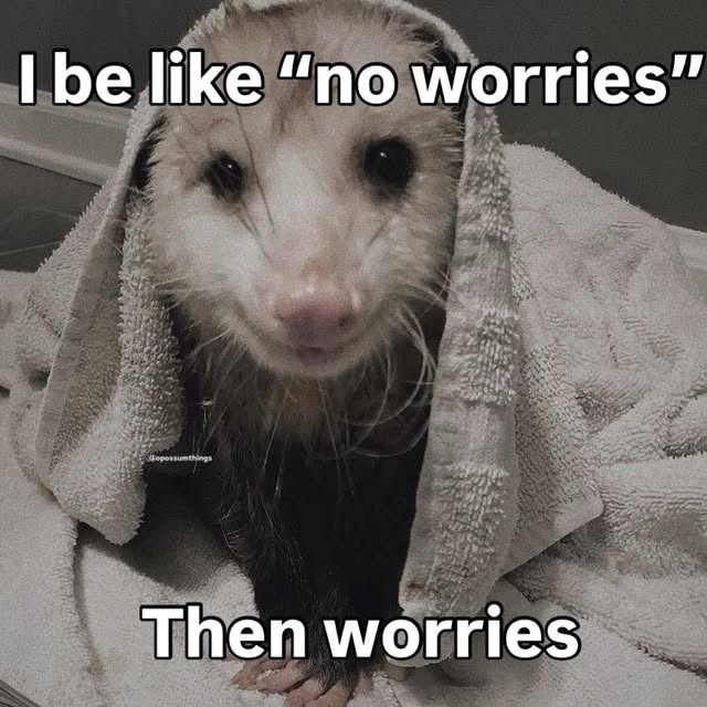  ......mthings   'recent posts' 