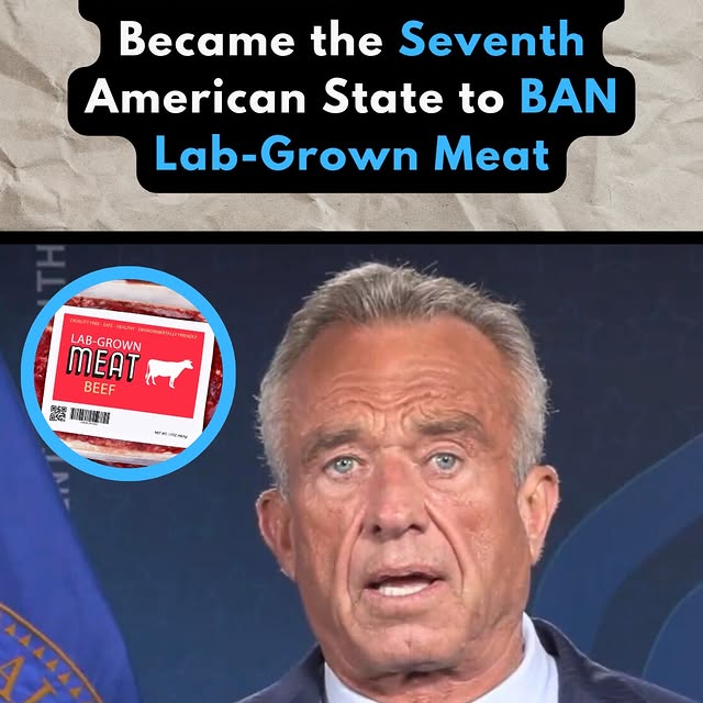  .......hustlers   'recent posts' 