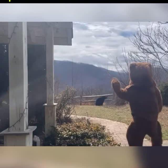  ....reels   'recent posts' 