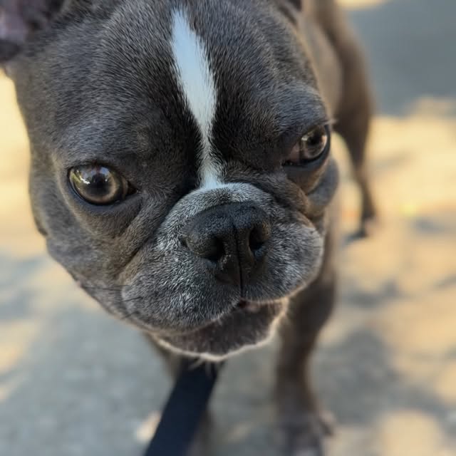  .......uapuppy   'recent posts' 