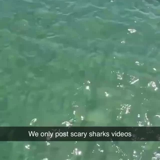  .........arkattacks   'recent posts' 