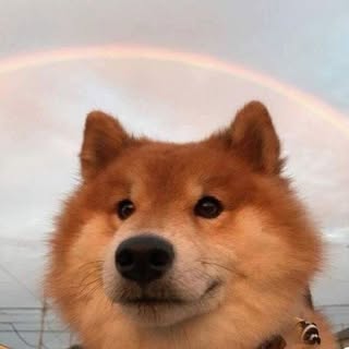 Hire ....ifex influencer with 14.9k