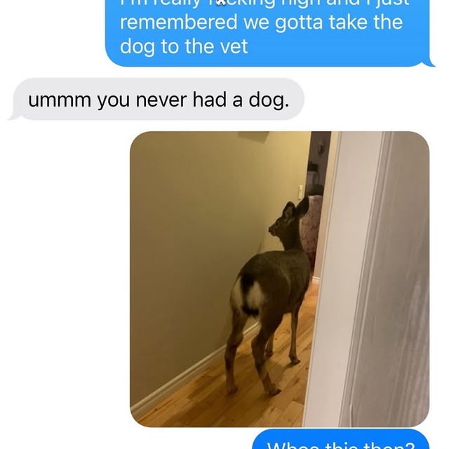  ........police   'recent posts' 