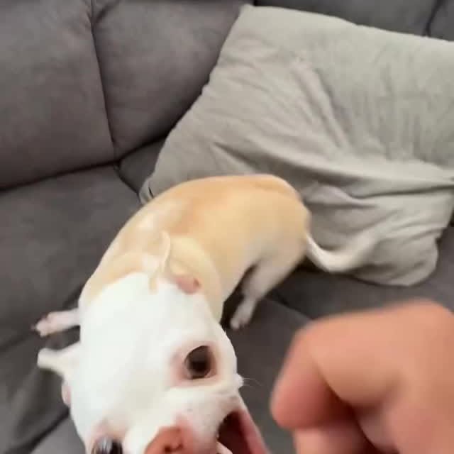  ........astiming   'recent posts' 