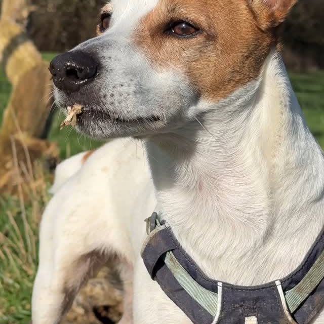  .......sell_luc   'recent posts' 