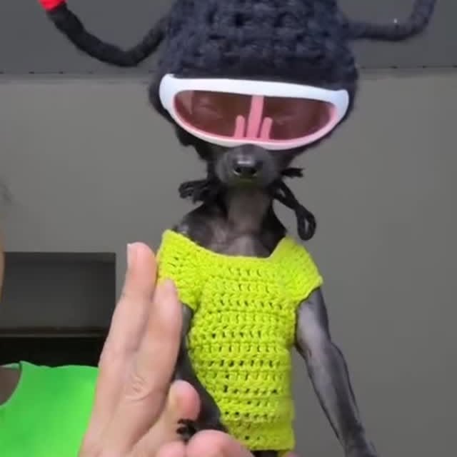  .......uapuppy   'recent posts' 