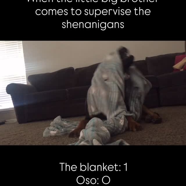  .....tmiles   'recent posts' 