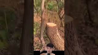  .....s Kim  'recent videos' 