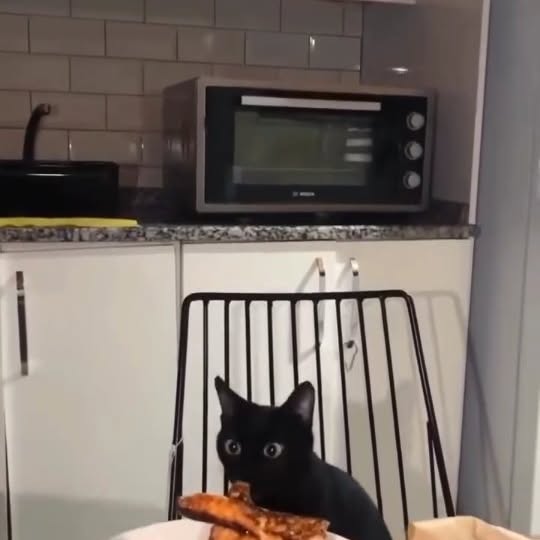  .......ats_club   'recent posts' 