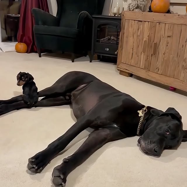  ........malsgram   'recent posts' 