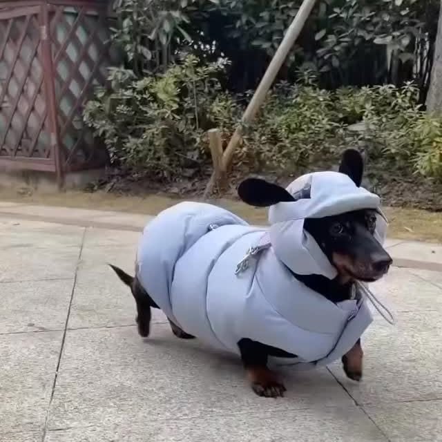  ..........fan.club_   'recent posts' 