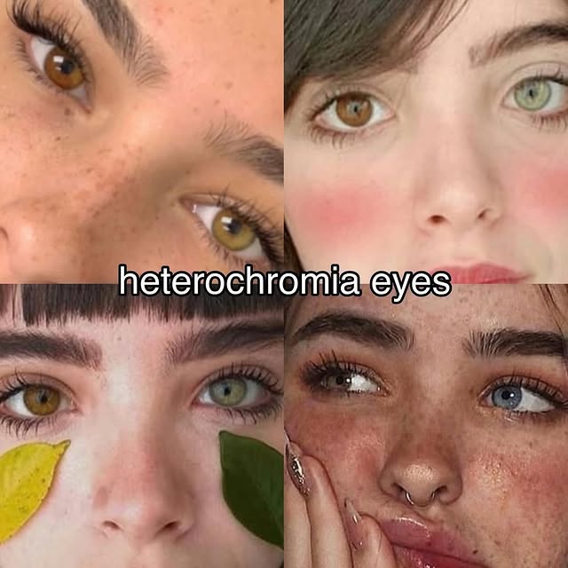  ......rlrise   'recent posts' 