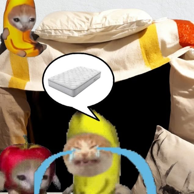  ......anacat   'recent posts' 