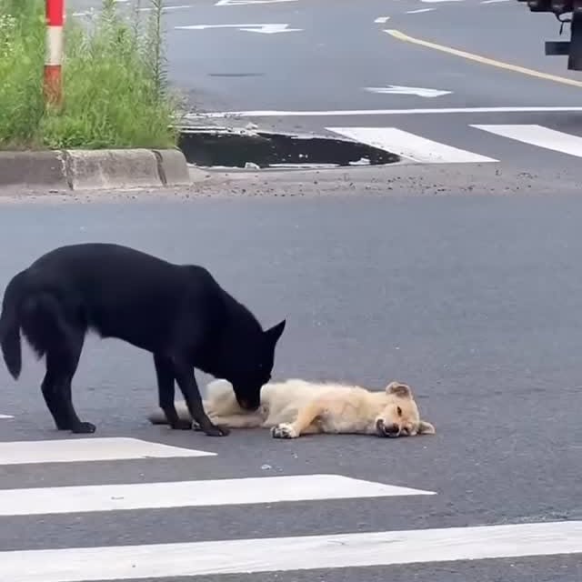  ......estige   'recent posts' 