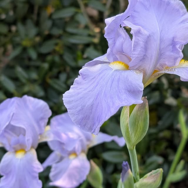  ....y002   'recent posts' 