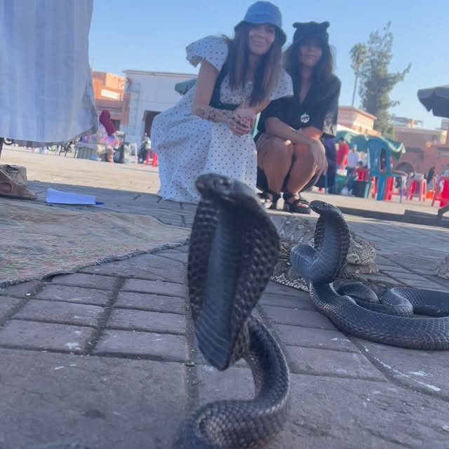  ........oofficial   'recent posts' 