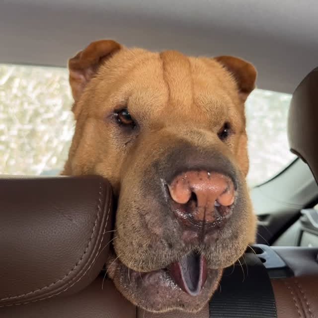  ......i.world   'recent posts' 