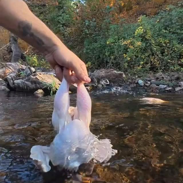  ......zafar   'recent posts' 