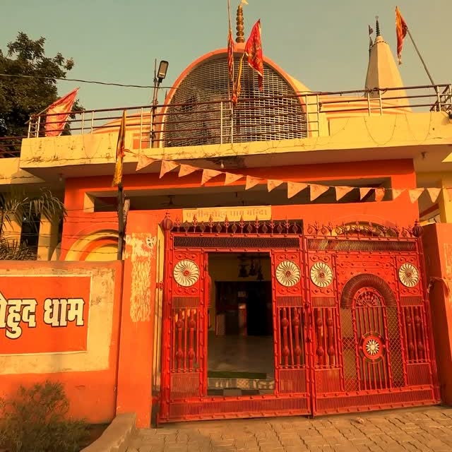  ........rkivines   'recent posts' 