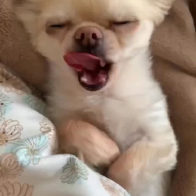  .......uapuppy   'recent posts' 