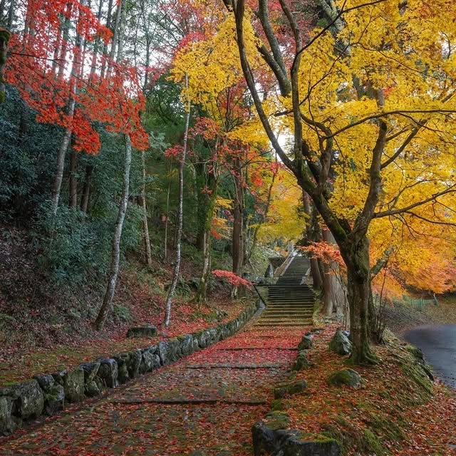  ......entpix   'recent posts' 