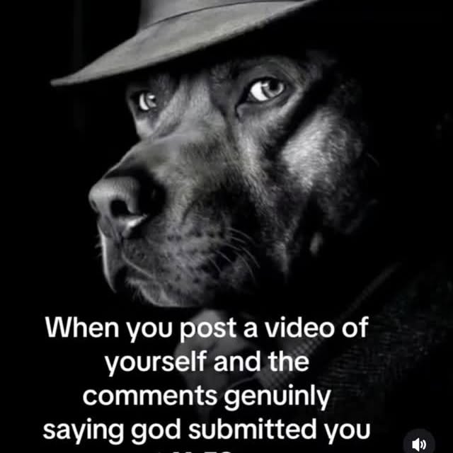  .........stermemes   'recent posts' 