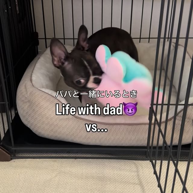  ........pizzalife   'recent posts' 