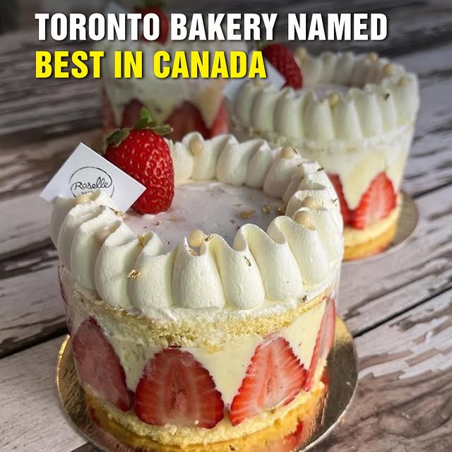  ........ftoronto   'recent posts' 