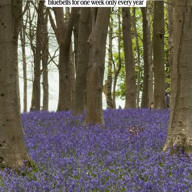  .........tlelondon   'recent posts' 